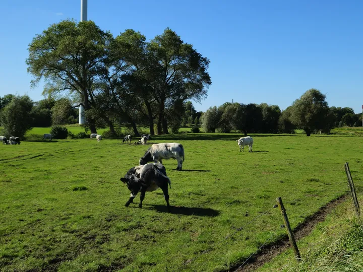 Rhodesgoed cycling and walking 2-day, Izegem (Belgium)